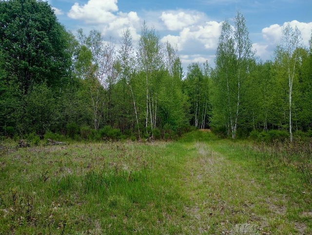 58ACRES NE County Line Rd, Coleman, MI 48618