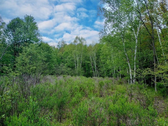 58ACRES NE County Line Rd, Coleman, MI 48618