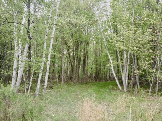 58ACRES NE County Line Rd, Coleman, MI 48618