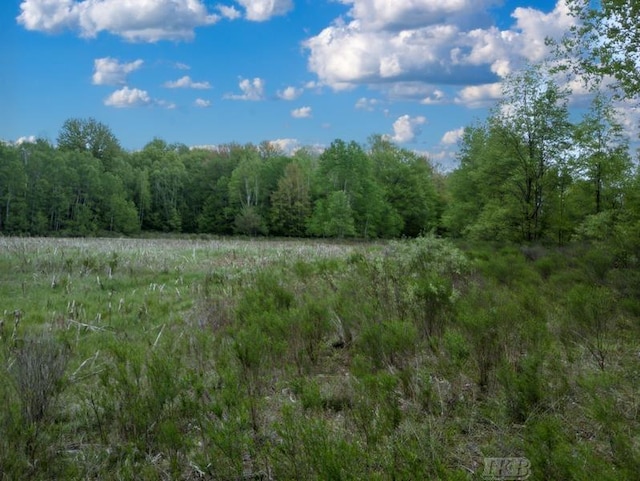 58ACRES NE County Line Rd, Coleman, MI 48618