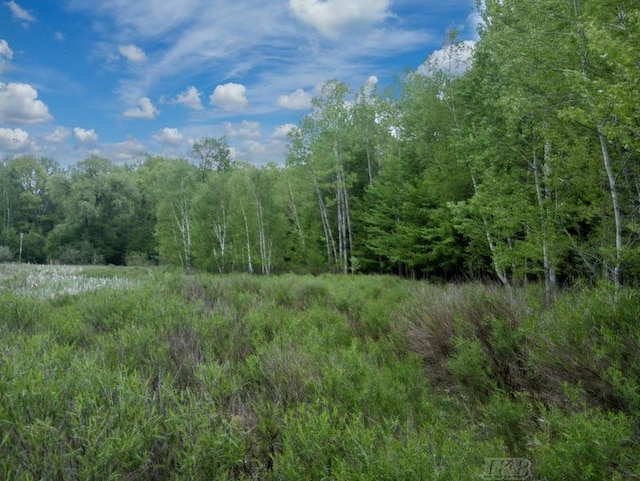 58ACRES NE County Line Rd, Coleman, MI 48618