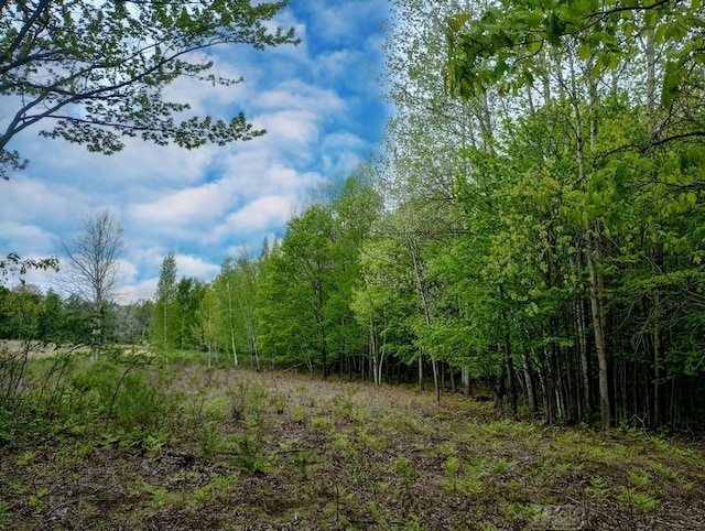 58ACRES NE County Line Rd, Coleman, MI 48618