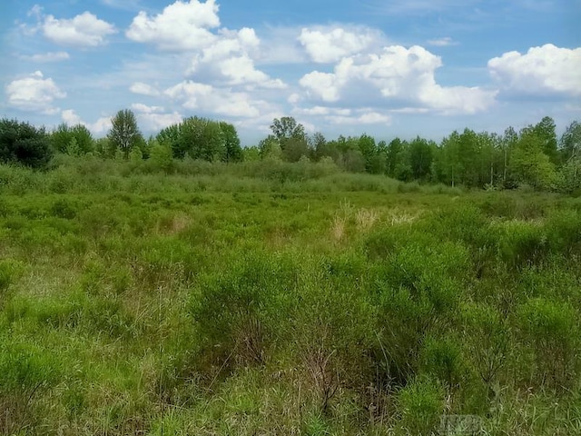 58ACRES NE County Line Rd, Coleman, MI 48618
