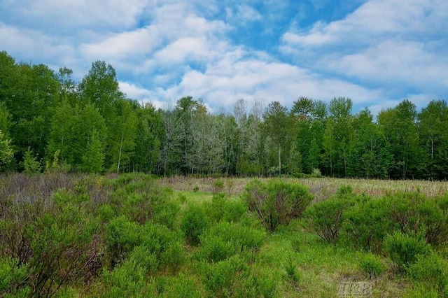 58ACRES NE County Line Rd, Coleman, MI 48618