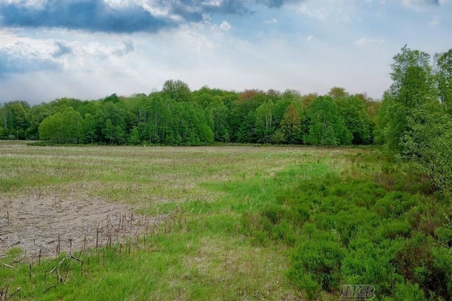 58ACRES NE County Line Rd, Coleman, MI 48618