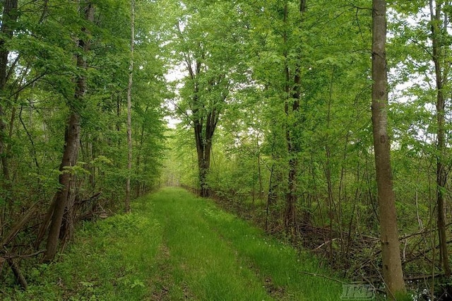 58ACRES NE County Line Rd, Coleman, MI 48618