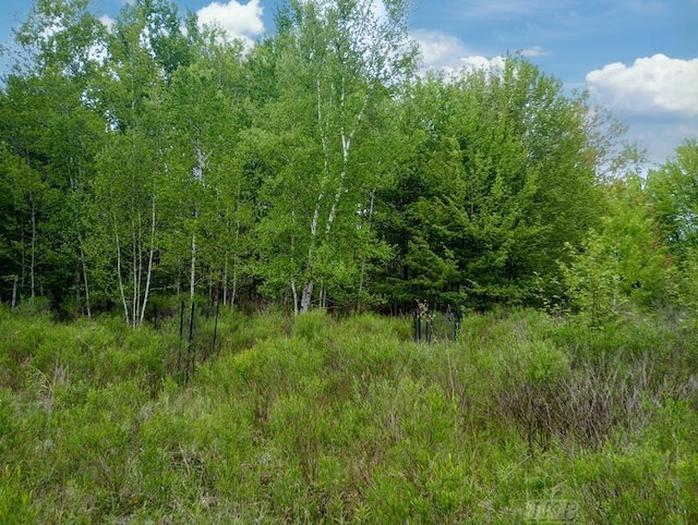 58ACRES NE County Line Rd, Coleman, MI 48618