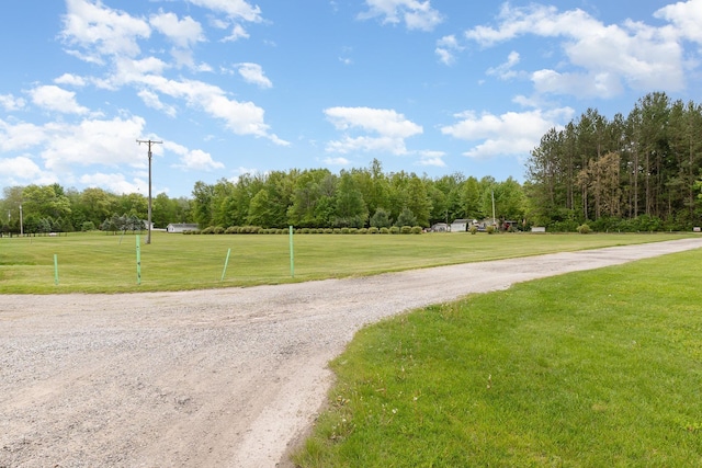 V/L Roosevelt Rd, Hemlock, MI 48626