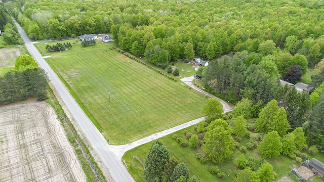 V/L Roosevelt Rd, Hemlock, MI 48626