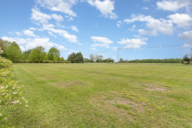 V/L Roosevelt Rd, Hemlock, MI 48626