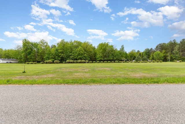 V/L Roosevelt Rd, Hemlock, MI 48626