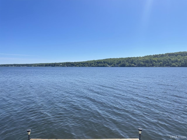 52170 Canal Rd, Houghton, MI 49931 - water view with a heavily wooded area