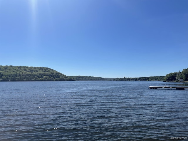 52170 Canal Rd, Houghton, MI 49931 - water view featuring a heavily wooded area