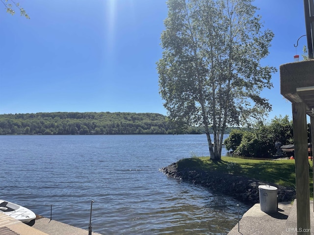 52170 Canal Rd, Houghton, MI 49931 - water view featuring a forest