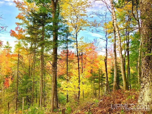 TBD N Cataract Dr, Gwinn, MI 49841