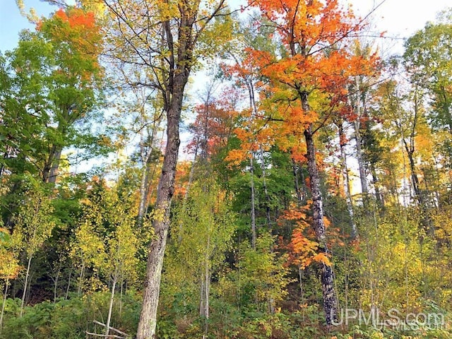 TBD N Cataract Dr, Gwinn, MI 49841