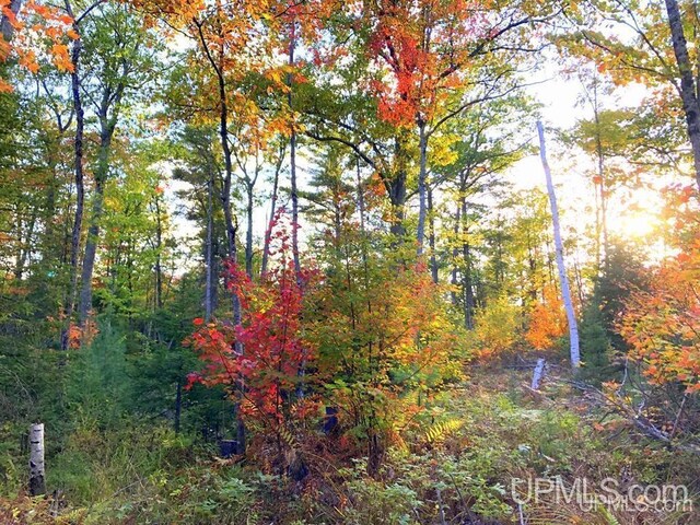 TBD N Cataract Dr, Gwinn, MI 49841