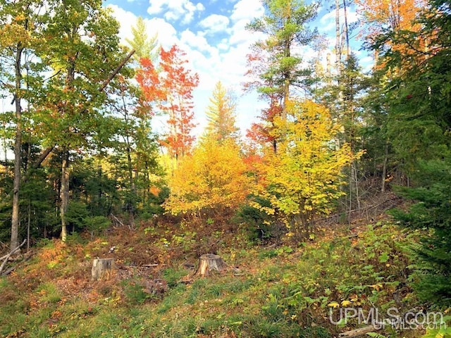 TBD N Cataract Dr, Gwinn, MI 49841