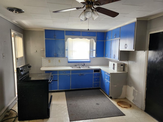 4680 E Kent Rd, Freeland, MI 48623 - kitchen with blue cabinets, black electric range oven, and ornamental molding
