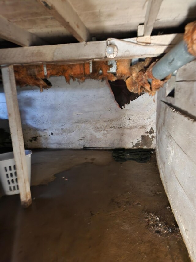 4680 E Kent Rd, Freeland, MI 48623 - view of basement