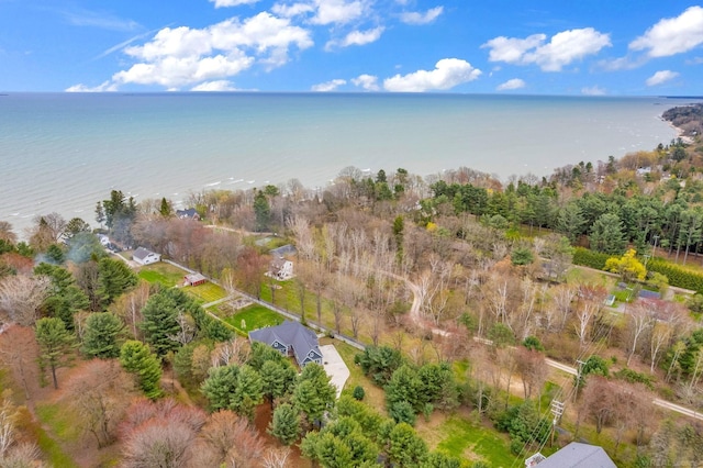 3905 Lakeshore Rd, Lexington, MI 48450 - view of property location with a large body of water