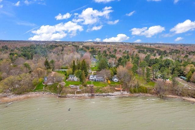 3905 Lakeshore Rd, Lexington, MI 48450 - aerial overview of property's location with a nearby body of water
