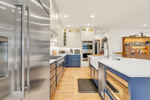 3905 Lakeshore Rd, Lexington, MI 48450 - kitchen with stainless steel appliances, a sink, blue cabinetry, light countertops, and light wood-type flooring