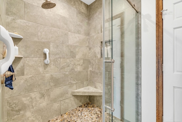 3905 Lakeshore Rd, Lexington, MI 48450 - bathroom with a stall shower