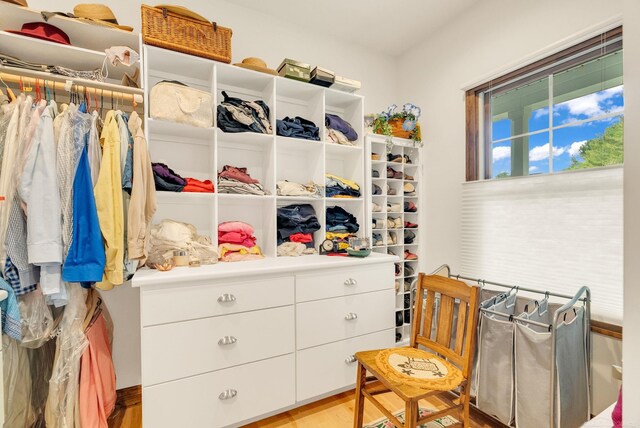 3905 Lakeshore Rd, Lexington, MI 48450 - walk in closet featuring wood finished floors