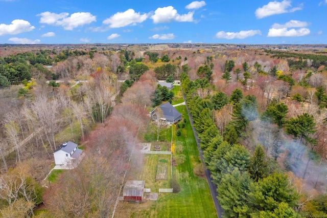 3905 Lakeshore Rd, Lexington, MI 48450 - bird's eye view
