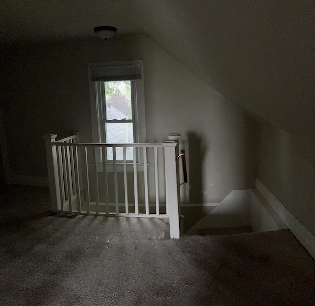 1106 Marsac St, Bay City, MI 48708 - bonus room featuring vaulted ceiling and carpet flooring