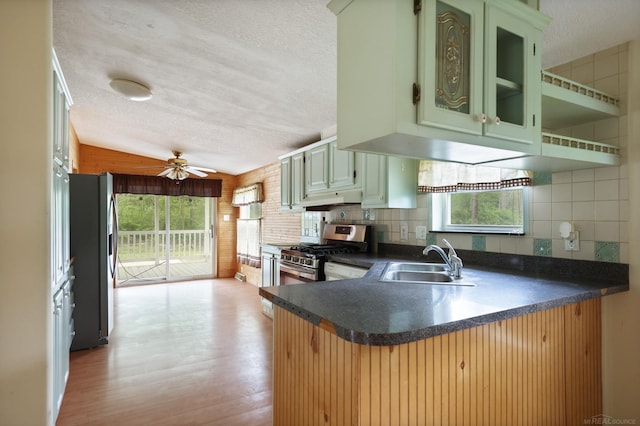 3909 Higgins Rd, Vassar, MI 48768 - kitchen featuring appliances with stainless steel finishes, a sink, a textured ceiling, under cabinet range hood, and green cabinets