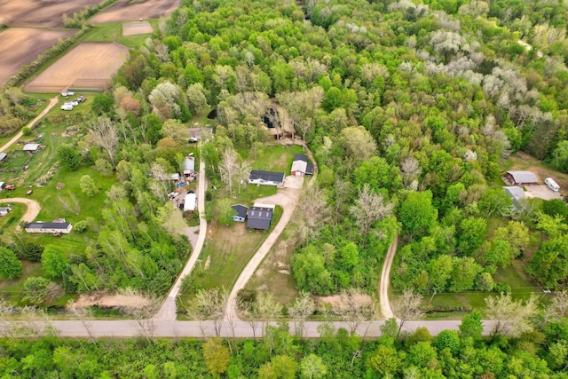 3909 Higgins Rd, Vassar, MI 48768 - bird's eye view