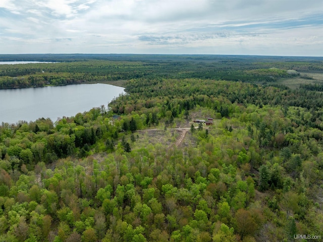 16477 Cc.25 Ln, Wetmore, MI 49895 - drone / aerial view of a forest and a large body of water