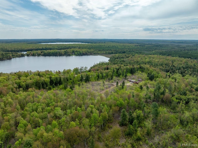16477 Cc.25 Ln, Wetmore, MI 49895 - aerial view of a forest and a large body of water