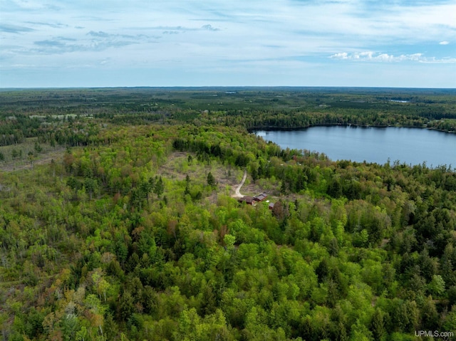 16477 Cc.25 Ln, Wetmore, MI 49895 - aerial view of property and surrounding area featuring a forest and a large body of water
