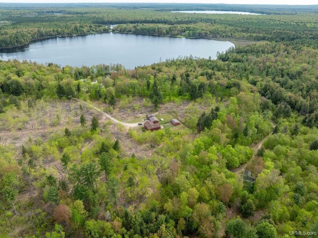 16477 Cc.25 Ln, Wetmore, MI 49895 - aerial overview of property's location with a forest and a large body of water
