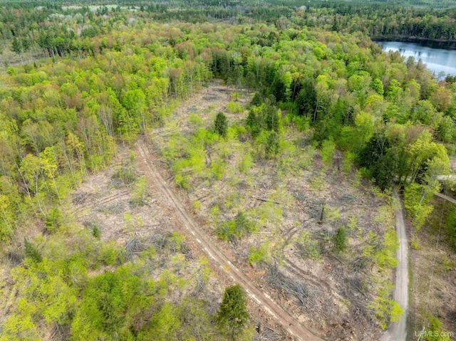 16477 Cc.25 Ln, Wetmore, MI 49895 - bird's eye view of a forest and a nearby body of water