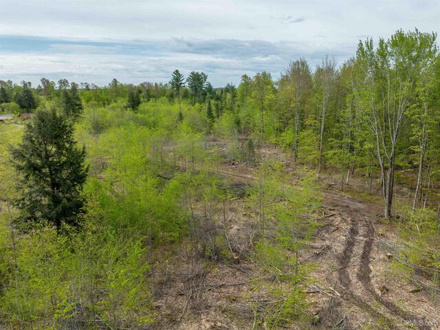 16477 Cc.25 Ln, Wetmore, MI 49895 - view of local wilderness