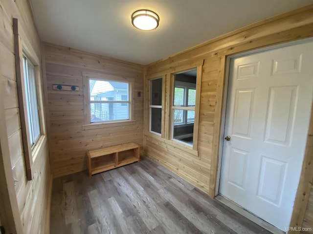 317 Lane Ave, Iron Mountain, MI 49802 - mudroom featuring wood walls and wood finished floors