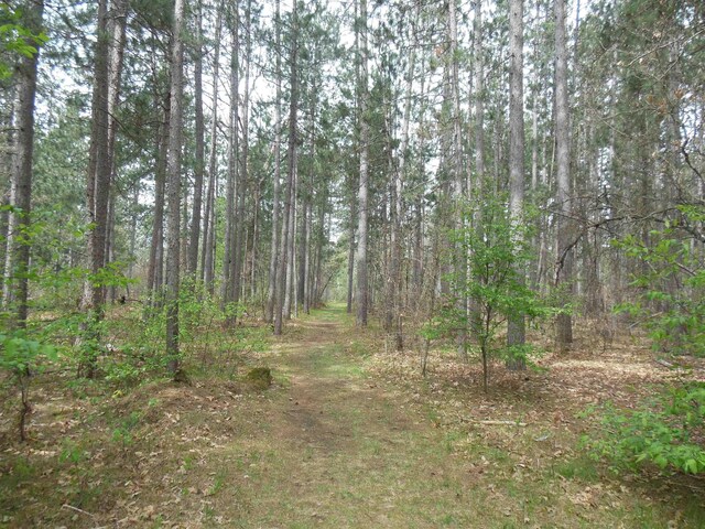 5871 Edith Schneider Rd, Harrison, MI 48625 - view of woods