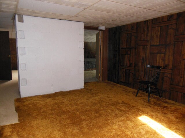 5871 Edith Schneider Rd, Harrison, MI 48625 - spare room featuring carpet flooring and wood walls
