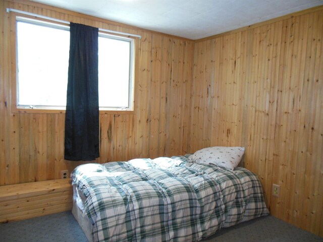 5871 Edith Schneider Rd, Harrison, MI 48625 - bedroom featuring wood walls, multiple windows, and carpet flooring