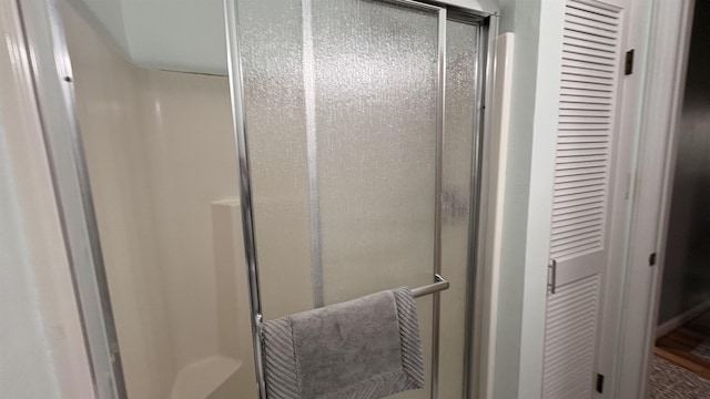 7741 White Birch St, Farwell, MI 48622 - bathroom with a shower stall and a closet
