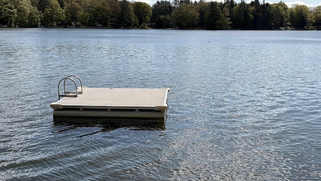 7741 White Birch St, Farwell, MI 48622 - dock with a water view and a forest view