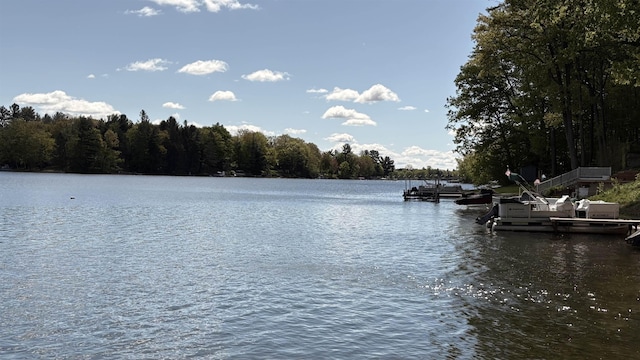 7741 White Birch St, Farwell, MI 48622 - water view with a dock