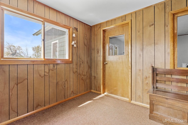336 Fulton St, Mohawk, MI 49950 - entryway featuring wood walls, carpet, and baseboards