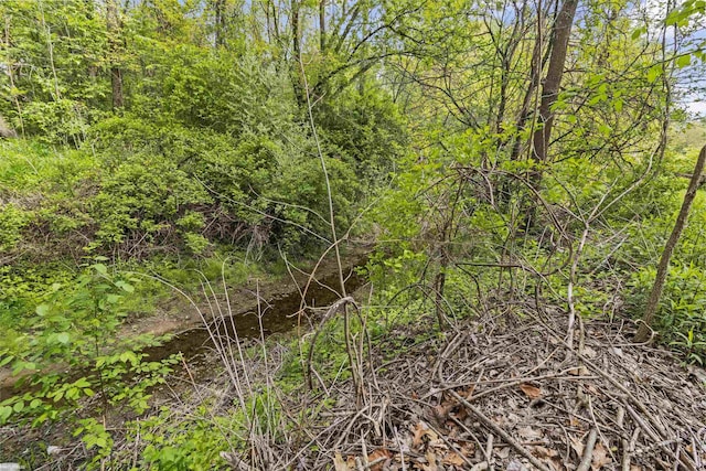 3710 N River Rd, Fort Gratiot, MI 48059 - view of local wilderness