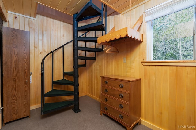 3159 N State Highway M94, Manistique, MI 49854 - stairs with wood walls, carpet, and baseboards