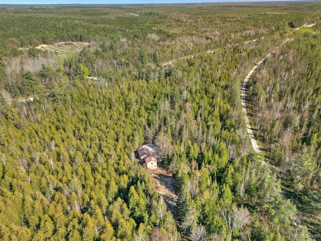 3159 N State Highway M94, Manistique, MI 49854 - view of property location with a heavily wooded area
